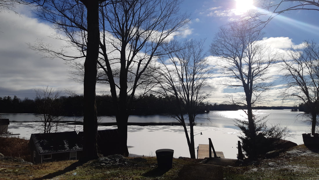 So much to see along the Rideau!