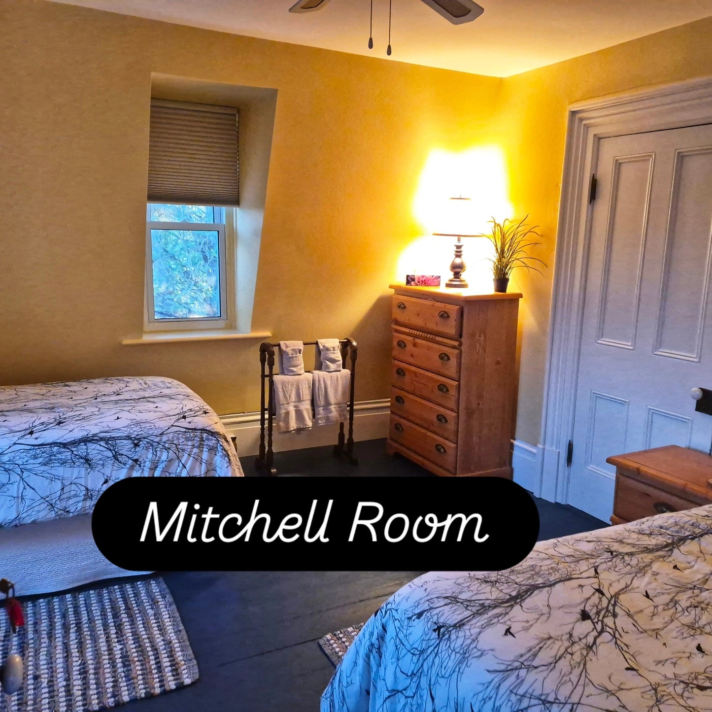 Mitchell Room